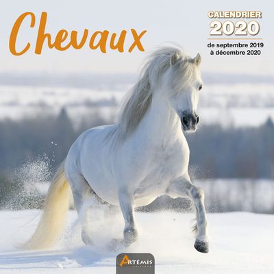 Calendrier Chevaux (2020): calendrier 2020 - de septembre 2019 dcembre 2020