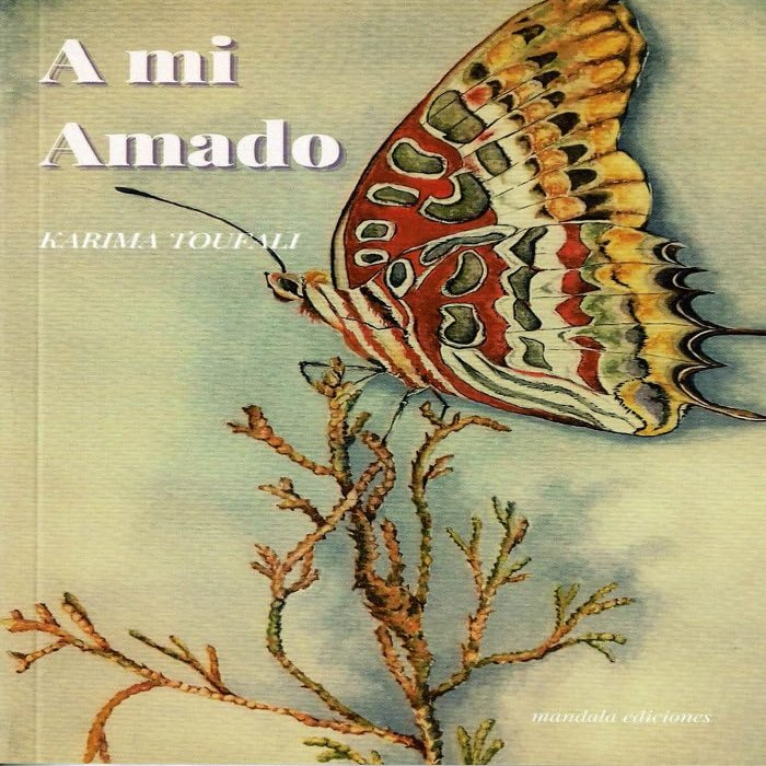 A mi Amado