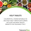 NaturesPlus Icelandic Kelp - Natural Iodine Supplement from Kelp, Easy One A Day - Vegetarian, Gluten Free - 300 Tablets view 4