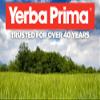 Yerba Prima Fiber Plus Senna Powder, 12 Ounce view 4