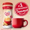 Nestle Coffee-Mate Coffee Creamer Original, Pack of 1 (11 Ounce) view 3