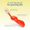 RADIUS Kids Toothbrush, Right Hand, Age 6 Years and up - Assorted Colours. - 6 Count view 4