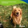 Canina Pharma Biotin Forte Tabletten 100g view 4