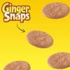 Nabisco Ginger Snaps Cookies, 16 Oz. view 4