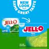 JELL-O SUGAR FREE LIME LOW CALORIE GELATIN DESSERT 1 x 8.5g BOX JELLO view 2