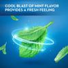 Oral B Mint Satin Floss, 25 m view 2