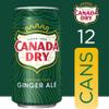 Canada Dry Ginger Ale - 12 Ct 12 Pack view 2