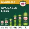 Canada Dry Ginger Ale - 12 Ct 12 Pack view 3