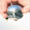 Alessi Taste Huile Olive Oil Taster (PW01) view 2