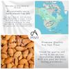 Absolute Aromas Sweet Almond Oil 500ml - Pure, Natural, Cruelty-Free. Vegan, No GMO - Massage Base Oil and Moisturiser for Hair, Skin, Face and Nails view 4