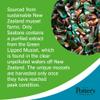 Potter's Herbals Seatone Super Strength Green Lipped Mussel Extract | Helps Maintain Joint Mobility | 90 Capsules view 2