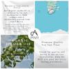 Absolute Aromas Organic Jojoba Oil 100ml - in Glass Bottle - Pure, Natural, Vegan and Cruelty Free view 4
