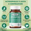 Lifeplan Acidophilus and Rhamnosus Vegicap 50 Capsules view 2