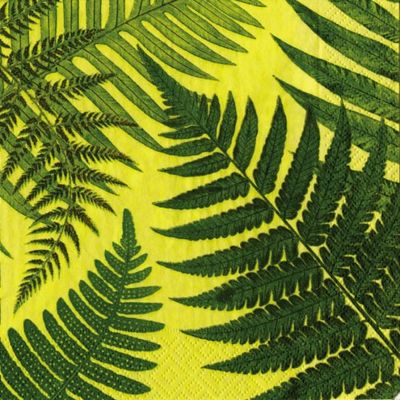 Caspari Set of 2 John Derian Ferns Set of 20 Paper Lunch Napkin, Green