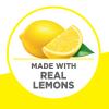 Krusteaz Lemon Bars Supreme Mix, 19.35-Ounce Boxes (Pack of 12) view 4