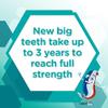 Aquafresh Toothpaste for Kids, Big Teeth Toothpaste for Children 6-8 Years, 50 ml view 3