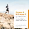 EQUAZEN Family Capsules | Omega 3 & 6 Fish Oil Supplement | Supports Brain Function | Blend of DHA, EPA & GLA | Suitable Children 5+ to Adults | 360 Capsules view 4