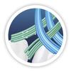 Oral-B Pro-Expert CrossAction Anti-Plaque Medium Manual Toothbrush view 3