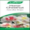 A.Vogel Horse Chestnut Aesculus Drops | Botanical Food Supplement | Extract of Fresh Aesculus Seeds | Suitable for Vegans | 50ml view 3