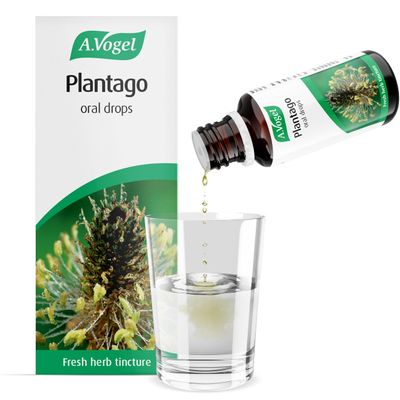 A.Vogel Plantago Drops | Organically Grown & Freshly Harvested |Suitable for Adults & Children from The Age of 2 | Suitable for Vegans | 50ml