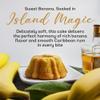 Tortuga Rum Cake Banana Flavour 454 g, Moist Caribbean Style Dessert, Rich Banana Taste, Rum Glazed Soft Cake, Perfect for Gifting, Celebrations, Parties & Festive Occasions view 4