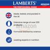 Lamberts Ginkgo Biloba 6000mg Time Release for Gentle Absorption  180 Vegan Tablets view 4