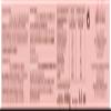 FOSSIER 12 Biscuits Roses Box 100 g view 2