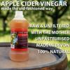 Apple Cider Vinegar Tonic with 'Mother' - 1000ml (33.8oz) Natural Raw Unfiltered Plastic Bottle view 2