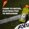 Gatorade Thirst Quencher, Frost Glacier Freeze, 12 Fl Oz (pack of 12) view 3
