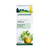 Salus 100% Pure Organic Celery Fresh Plant Juice 200 ml view 2