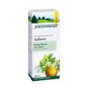 Salus 100% Pure Organic Celery Fresh Plant Juice 200 ml view 3
