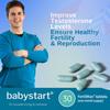 Babystart Fertility Supplements for Men - FertilMan 30 Tablets, 1 Month Supply, Male Fertility Vitamins with Zinc, Folic Acid and Vitamin D for Conception, Immune Support - Mens Health Supplement view 3
