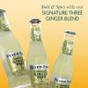 Fever-Tree Premium Ginger Beer, 6.8 Ounce Glass Bottles (Pack of 24) view 4