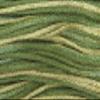 Weeks Dye Works 6-Strand Embroidery Floss 5yd-Ivy view 1