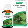 A.Vogel Ginkgo Biloba Drops | Food Supplement | Extract from Fresh Ginkgo Biloba Leaves | Vegan | 50ml view 2