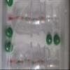 12 pieces VACUUM CUPPING SET Suction Cups with 6 Removable Magnetic Heads Acupuncture Therapy view 2