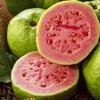 Koo Guava Halves 410grams view 3