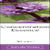 Jan De Vries Concentration Essence | Flower Essence | Quieten a Busy Mind | Focus on Specific Thoughts| Contains Peppermint, Nasturtium & Hornbeam | 30ml view 2