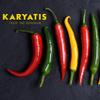 Karyatis Mixed Hot Chillies in Brine, Glass Jar, 205 g view 4