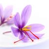 Carmencita Saffron Threads - Spanish Spices Great for Paella Seasoning, Rice Dishes, Stews & Soups for Classic Colour & Flavour, Hand-Harvested Spice for Traditional Cooking 375g view 4