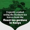 PG Tips Original | Loose Leaf Black Tea Bulk | Refreshing & Flavourful | Ideal For Office Catering | 1.5kg | 480 Servings view 2