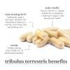 Fushi Organic Tribulus Terrestris (Gokshura), 60 Caps | Fresh-Ground Whole Food | Ayurvedic herb for Male Health & Sports Performance | Ethical & Vegan | Manufactured in the UK view 3