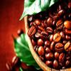 Blue Mountain Coffee 100% Jamaica Roasted Whole Beans view 3