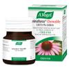 A.Vogel Echinaforce Chewable Cold & Flu Tablets | Relieve Cold & Flu Symptoms | Extracts of Fresh Echinacea | 80 Tablets view 1