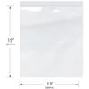 13" x 15", 4 Mil (Pack of 100) Heavy Duty Plastic Reclosable Zipper Bags view 2