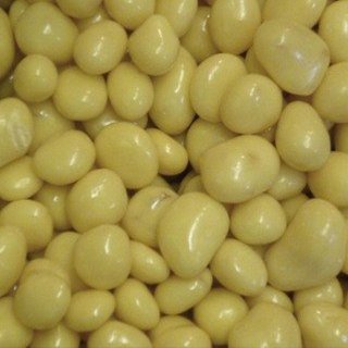 Yoghurt Coated Ginger