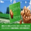 Calbee Potato Chips Seaweed & Salt 60g  12 Japan view 3