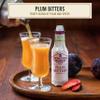 Fee Brothers Plum Bitters 12% 150ml view 2