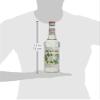 Monin Mojito Mint Syrup Syrups and Cordials view 3
