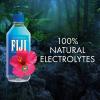 Fiji Water Fiji Natural Artesian Water, 500ML Bottles (Pack of 24) view 4